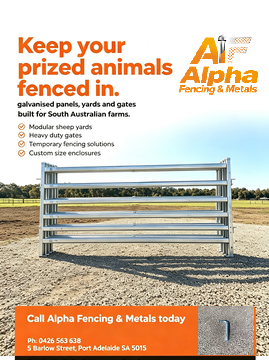 Heavy-Duty Galvanised Sheep Yard Panel