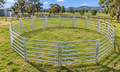 Heavy-Duty Galvanised 15M Round Horse Yard – $1,499 | Adelaide