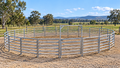 Heavy-Duty Galvanised 18M Round Horse Yard – $1,888 | Adelaide