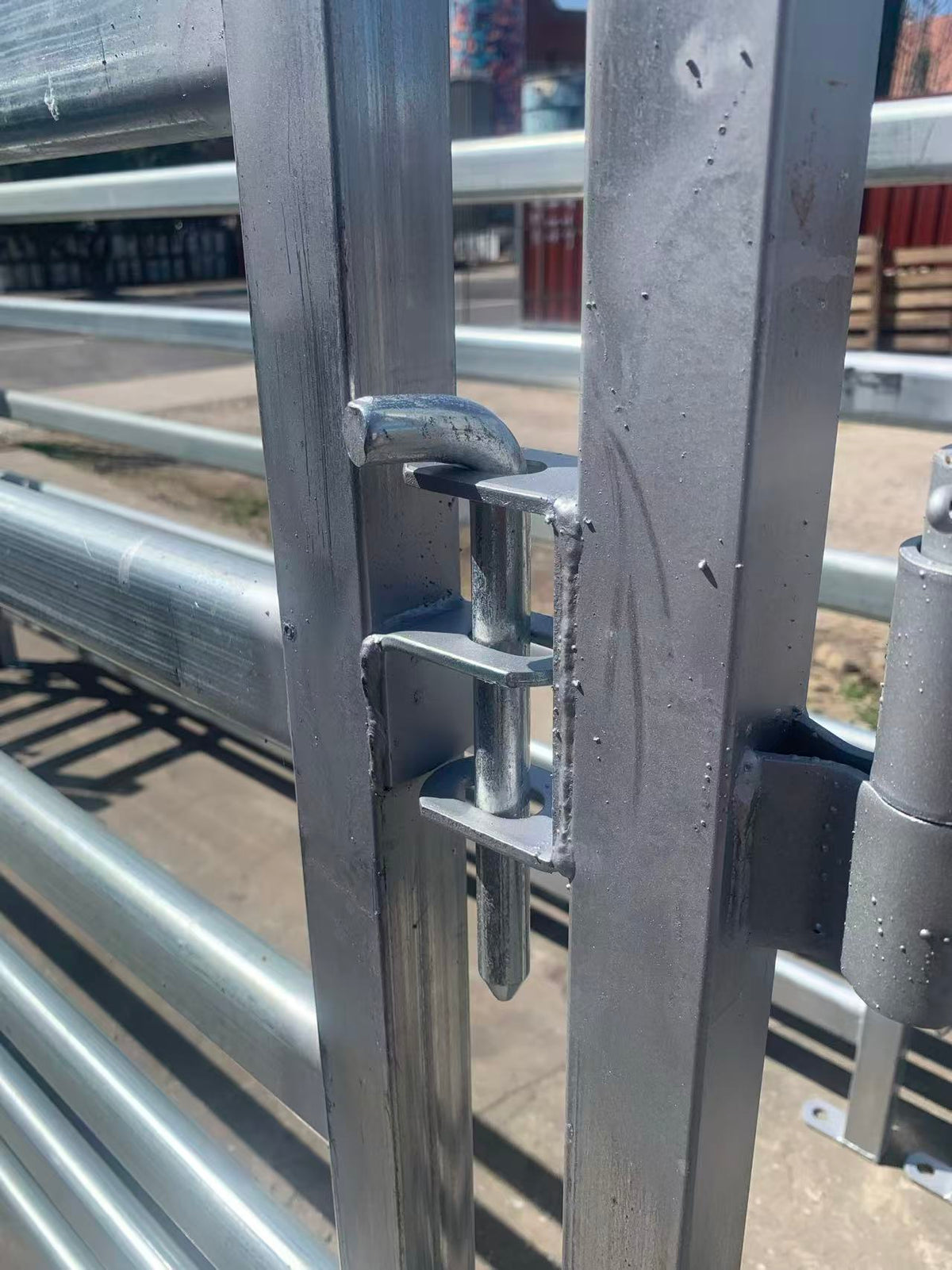 Heavy-Duty Galvanised Horse Yard Panel Pins | Adelaide