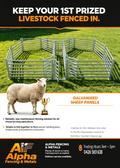 15 Head Sheep Yard | Galvanised Sheep Yard Panels